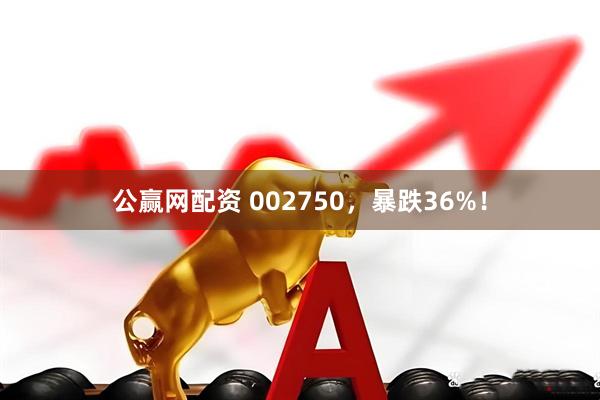 公赢网配资 002750，暴跌36%！