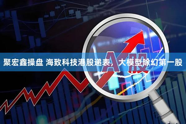 聚宏鑫操盘 海致科技港股递表，大模型除幻第一股