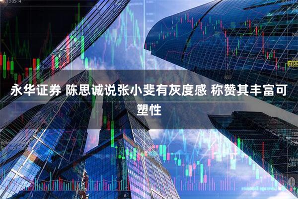 永华证券 陈思诚说张小斐有灰度感 称赞其丰富可塑性