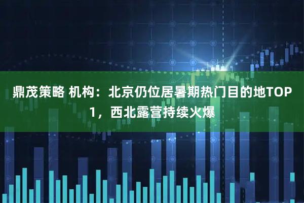 鼎茂策略 机构：北京仍位居暑期热门目的地TOP1，西北露营持续火爆