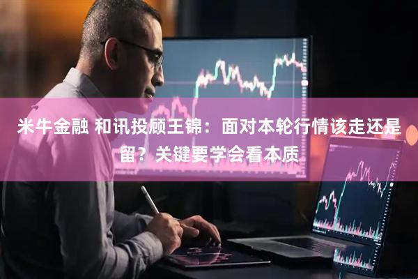 米牛金融 和讯投顾王锦：面对本轮行情该走还是留？关键要学会看本质