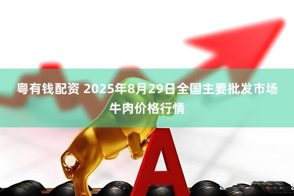 粤有钱配资 2025年8月29日全国主要批发市场牛肉价格行情