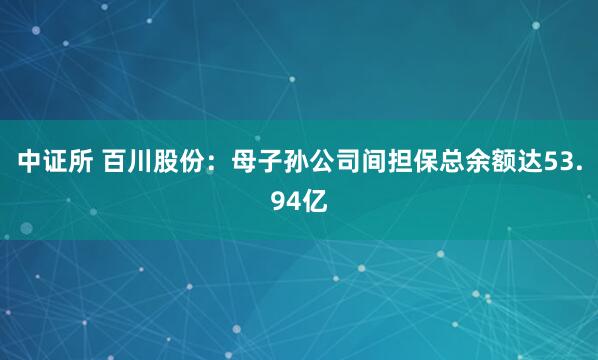 中证所 百川股份：母子孙公司间担保总余额达53.94亿