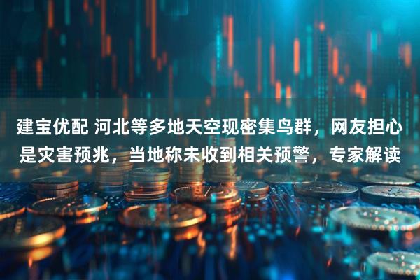 建宝优配 河北等多地天空现密集鸟群,网友担心是灾害预兆,当地称未收到相关预警,专家解读