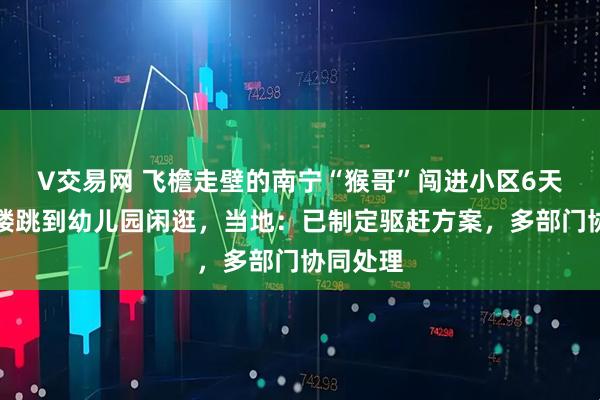 V交易网 飞檐走壁的南宁“猴哥”闯进小区6天,从高楼跳到幼儿园闲逛,当地:已制定驱赶方案,多部门协同处理