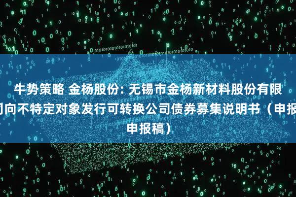 牛势策略 金杨股份: 无锡市金杨新材料股份有限公司向不特定对象发行可转换公司债券募集说明书（申报稿）